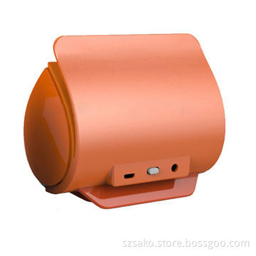 Portable Bluetooth Audio Player,